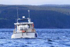 Why Marine GPS Systems Are a Smart Business Investment