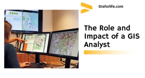 The Role and Impact of a GIS Analyst